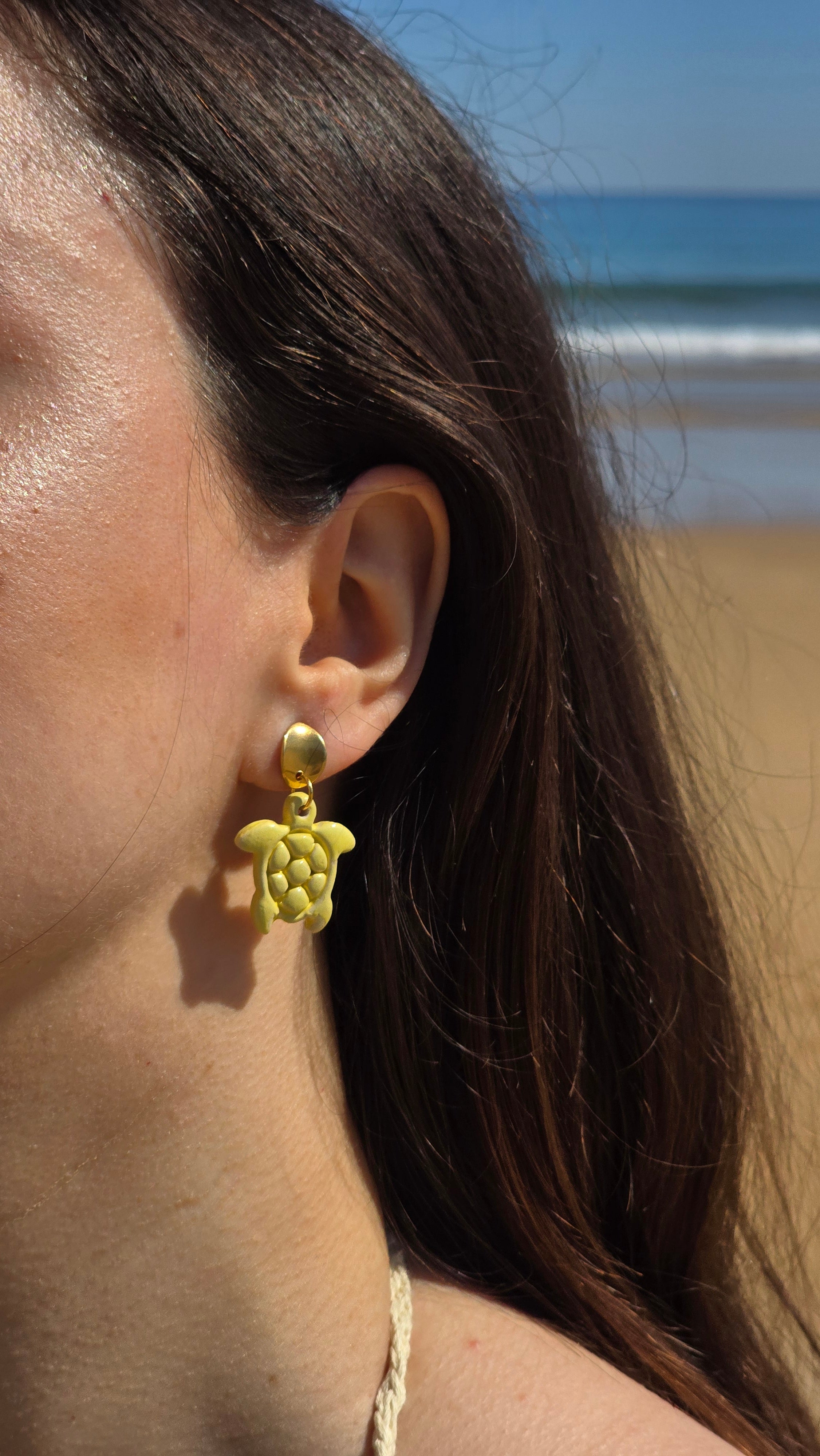 PENDIENTES LORA