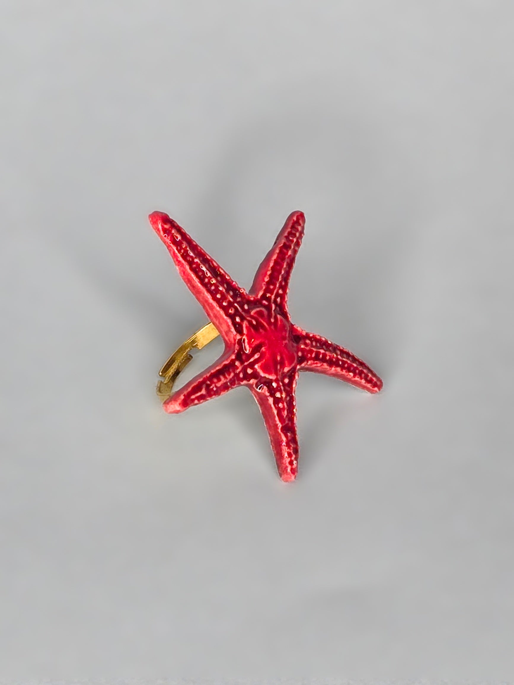ANILLO LANGRE