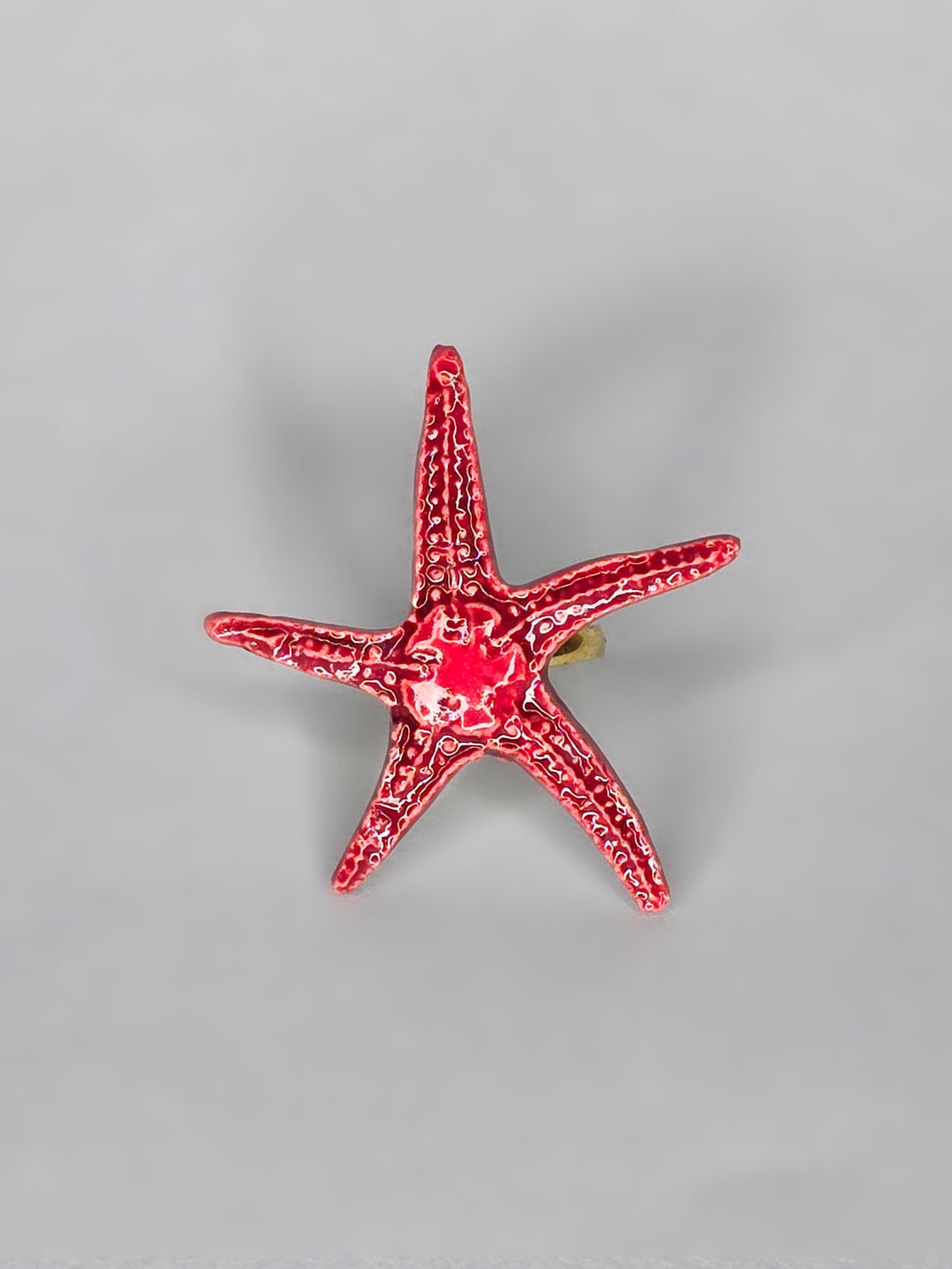 ANILLO LANGRE