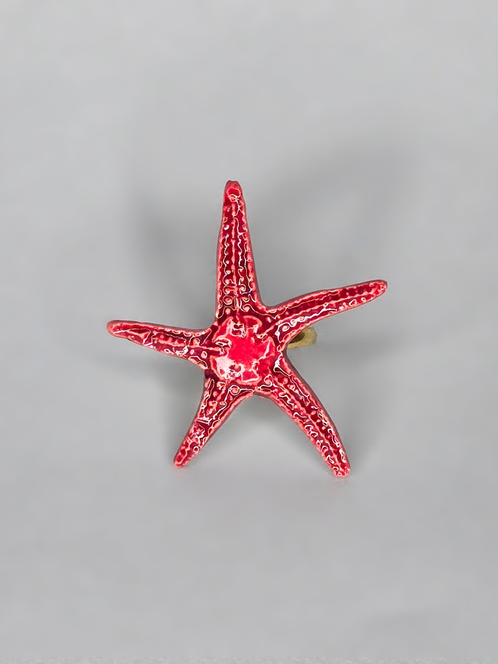 ANILLO LANGRE