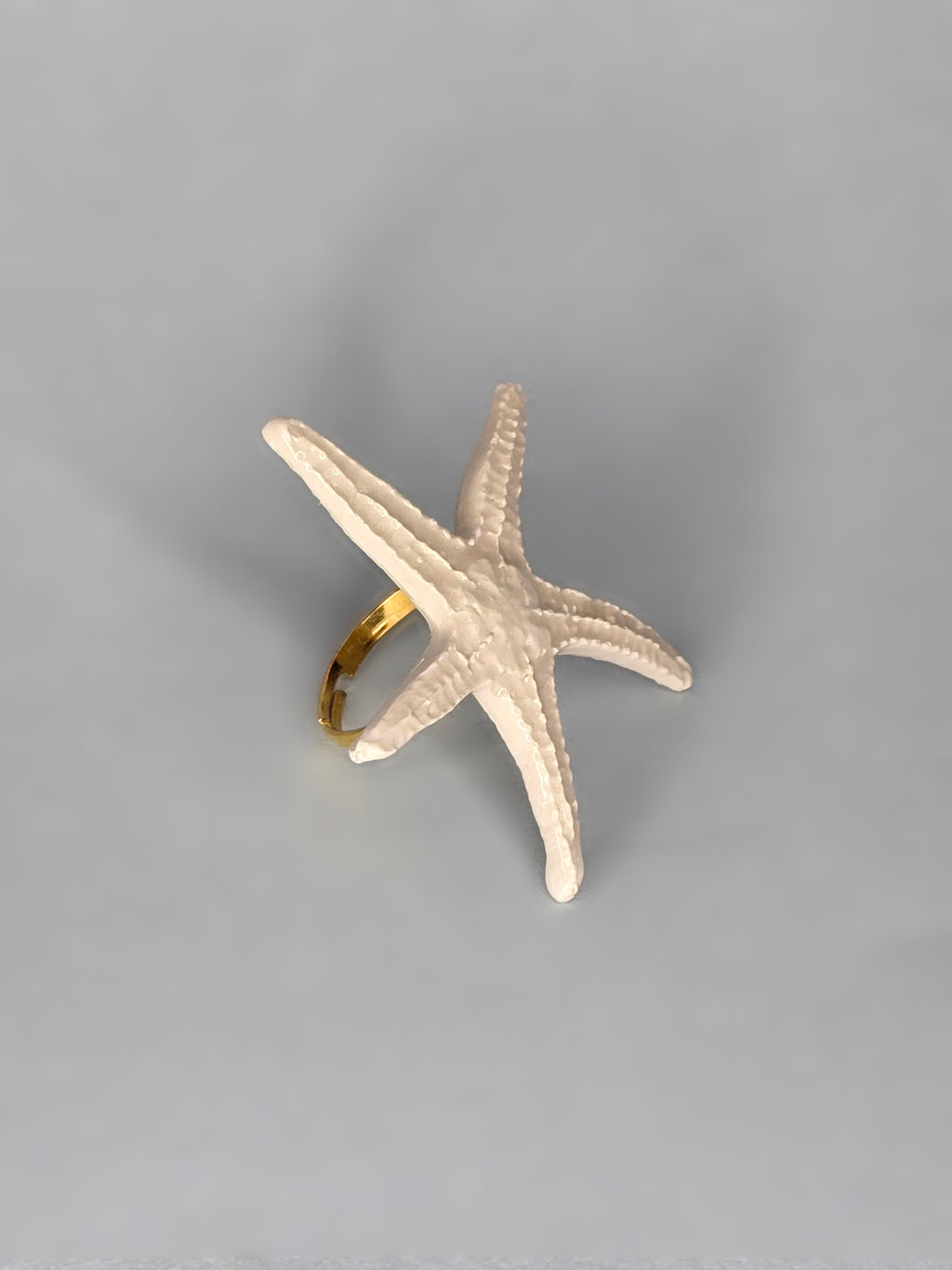 ANILLO LANGRE