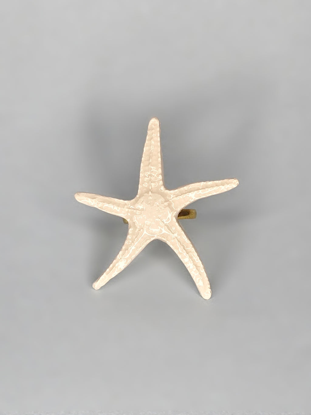 ANILLO LANGRE