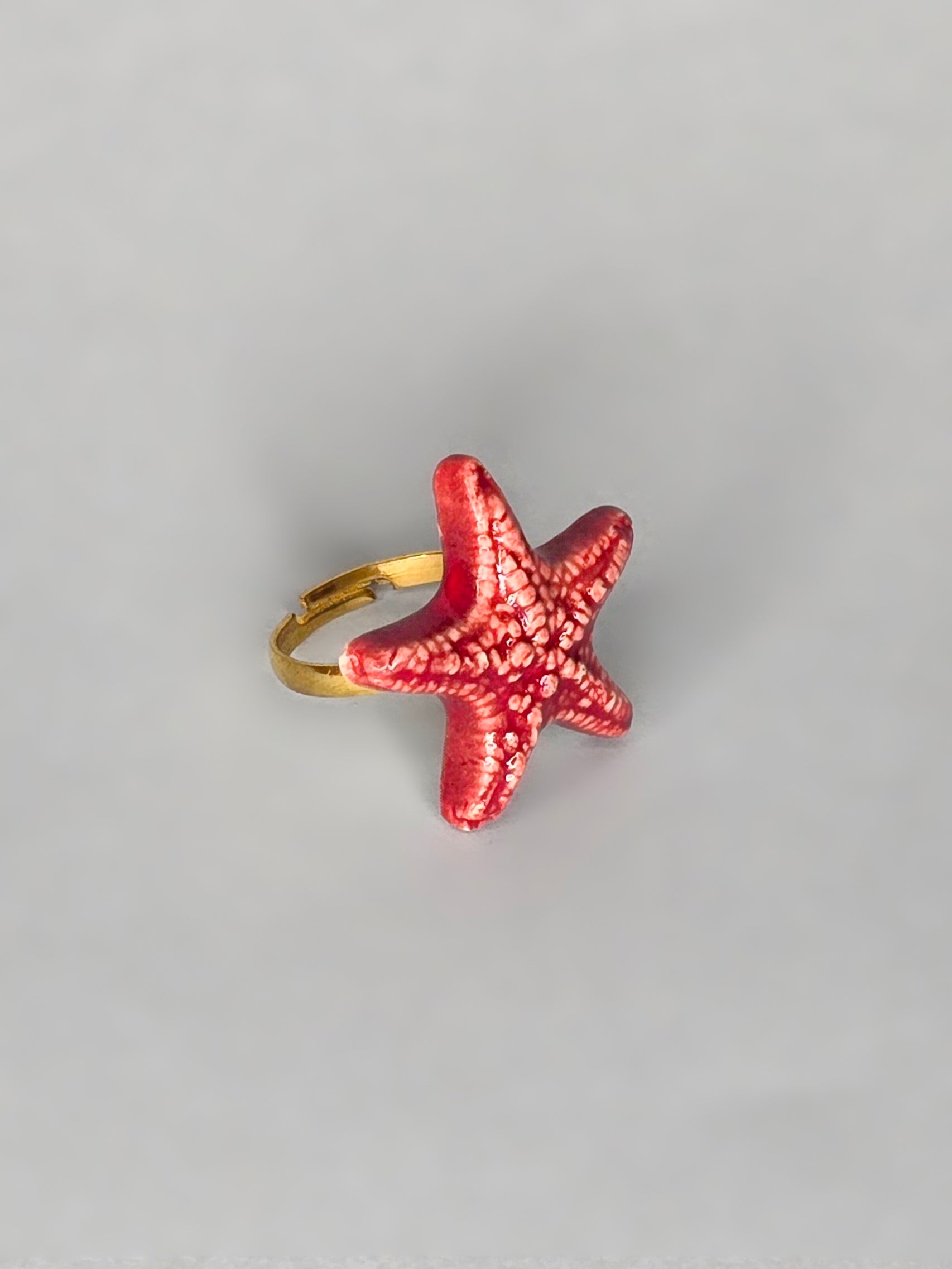 ANILLO RÍS