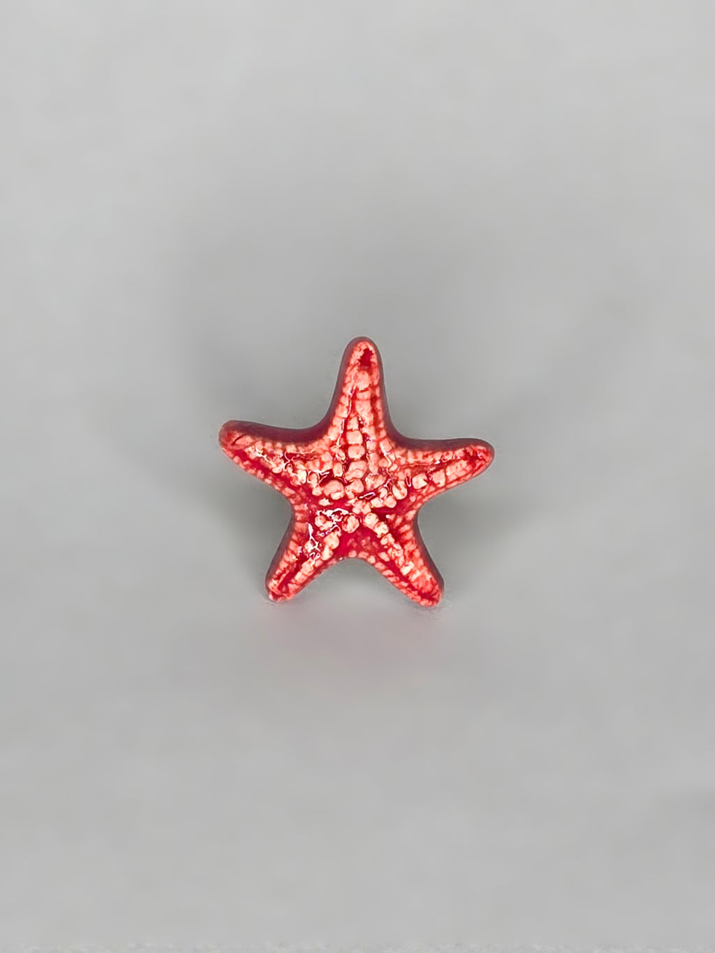 ANILLO RÍS