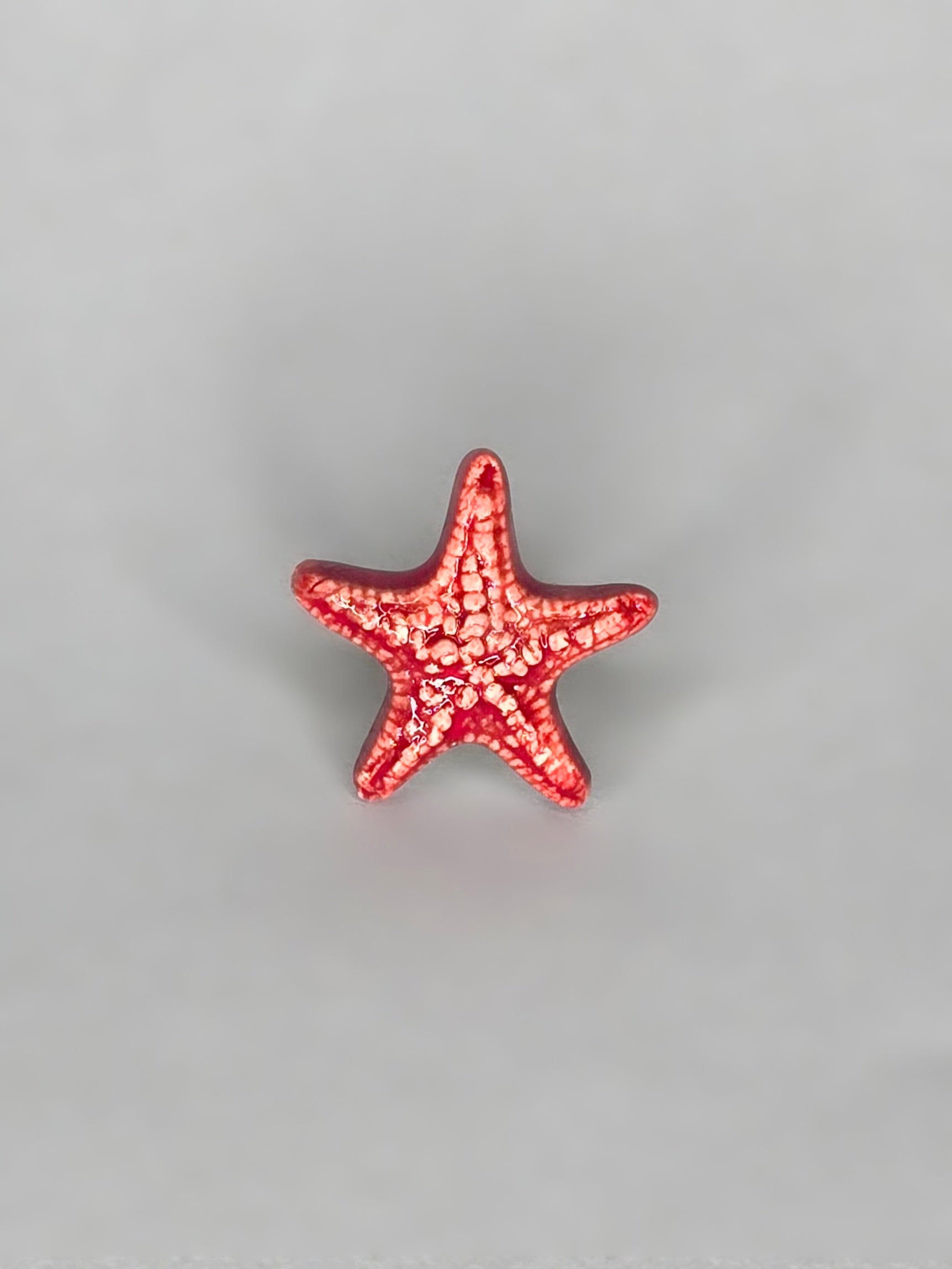 ANILLO RÍS